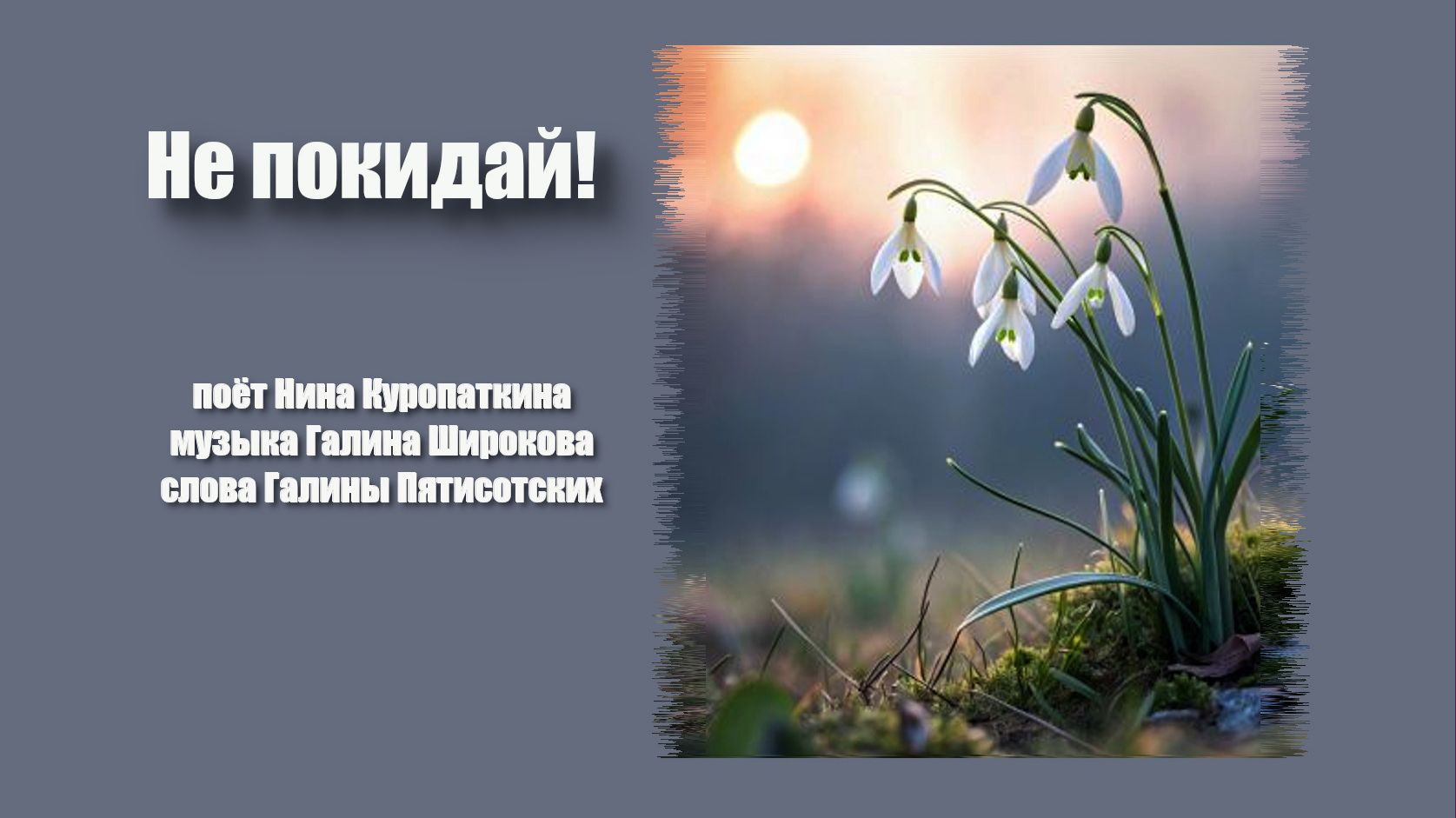 Не покидай! музыка Галины Широковой, поёт Нина Куропаткина, слова Галины Пятисотских