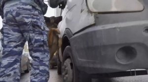 Рейд на нелегальных мигрантов  по Петербургу и Ленобласти