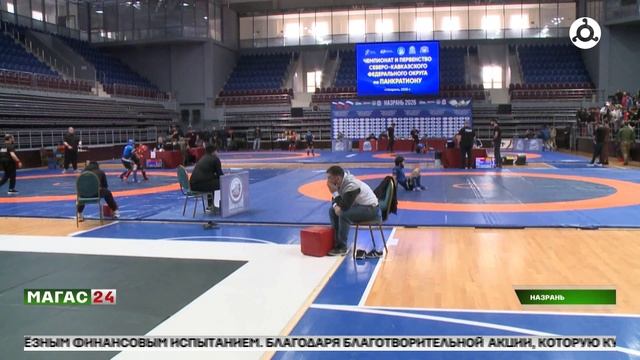 Чемпионат СКФО по спортивной борьбе стартовал в Ингушетии смотреть онлайн
