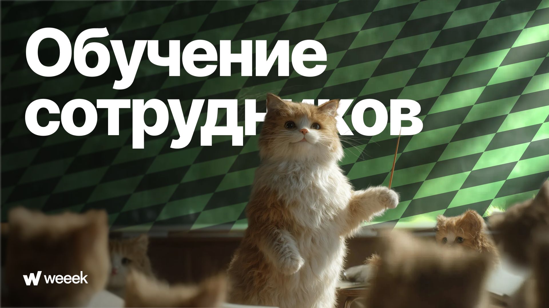 Как провести обучение сотрудников. Серия 5