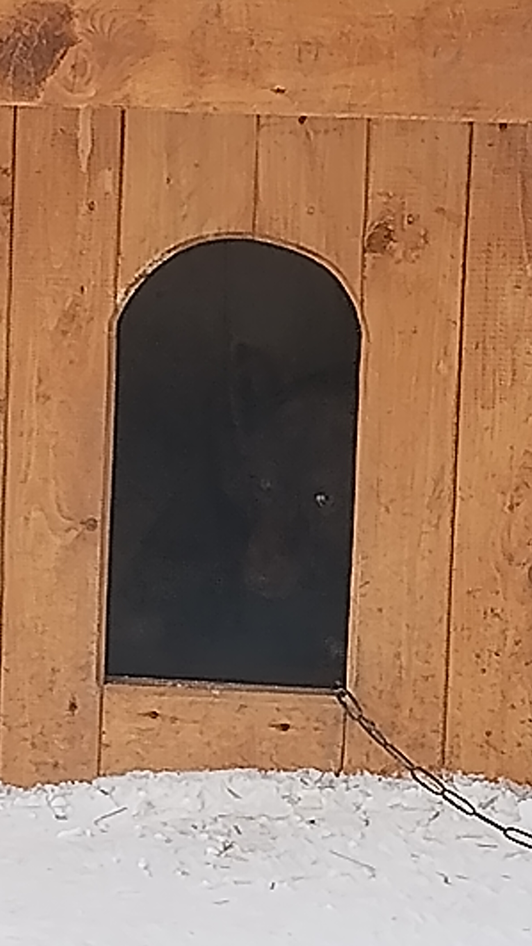 Мишка. Сон в февральский полдень 😂 09-02-2026 смотреть онлайн