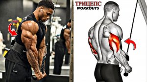 8 Упражнений На Трицепсы Для Достижения Максимального Результата Силы И Упругости 💪