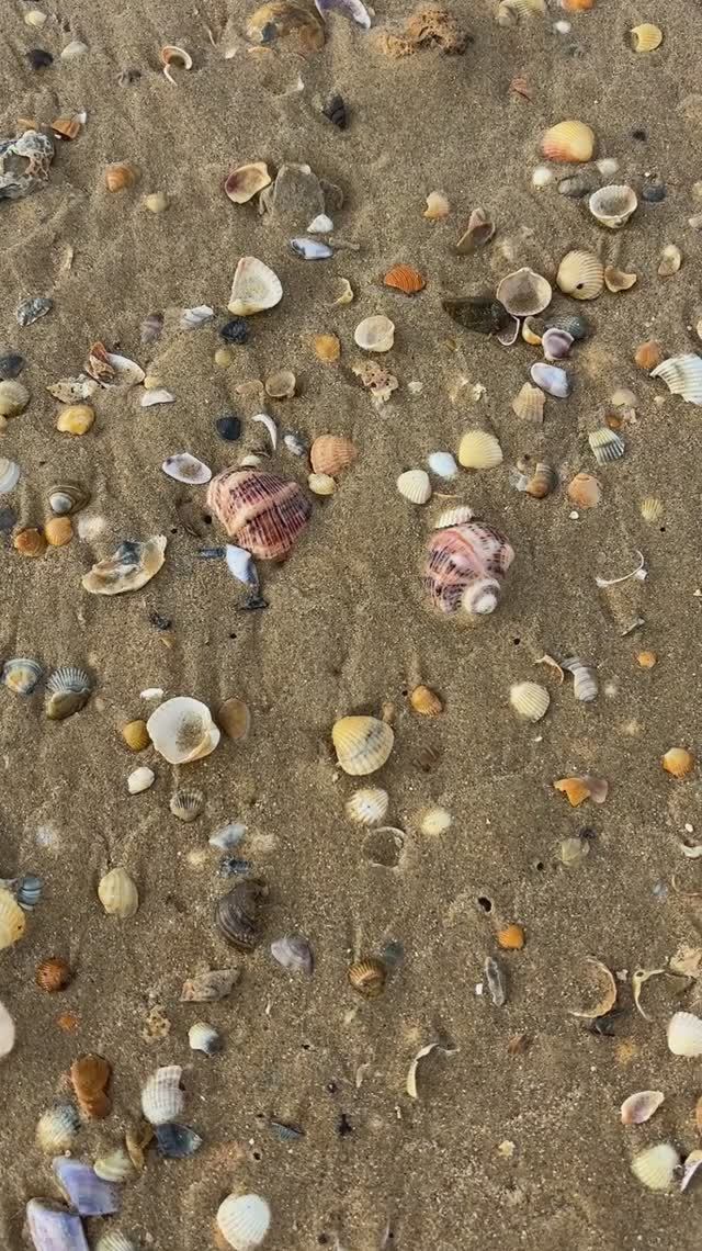 #анапа #морезимой #февраль #море