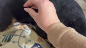 Это заговор какой-то, мы опять не уехали))).  Декор к весне и Рождественский)