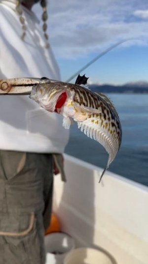 Морской дракон.