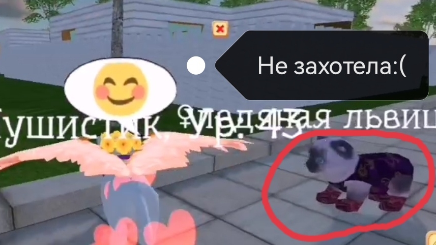 ЭТА ПОДРУГА НЕ ЗАХОТЕЛА ПОЙТИ В ДОМ  😭