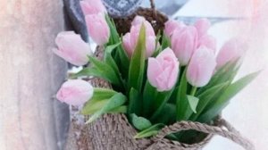 Всем хорошего дня ❤️Что еще посеяла на стеллаже 🥦🫑🍅🍆Как подросла рассада