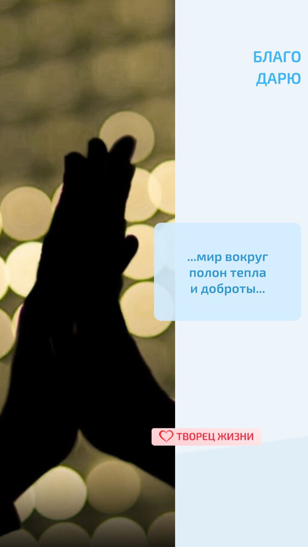 Благодарю Творца за приятные мгновения мимолетных встреч, которые, связывают нас с миром,дарят тепло