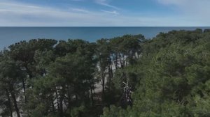 Абхазия, Пицундская реликтовая сосновая роща (февраль, ЗИМА-2026)