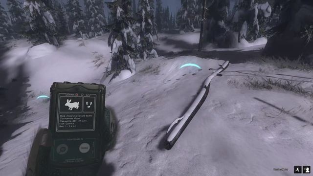 theHunter Classic - 2026-02-09 19-45-03