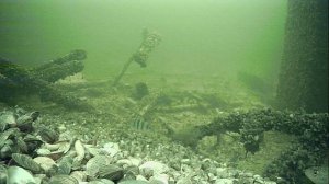 1000008877.mp4Волга гл.2м.09.02.2026г.