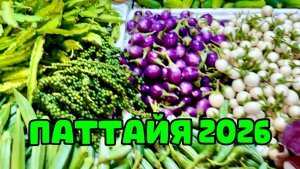 Не проходим мимо интересных мест CUB 🏍️ закупились на РЫНКЕ 🍇 релакс на массаже 👌