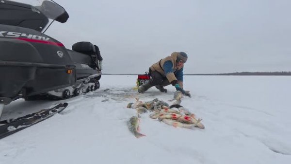 ПРИЛЕТЕЛ РЫБАК ИЗ МЫТИЩЕЙ И СРАЗУ НАЧАЛ ЛОВИТЬ