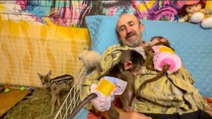 Влад пришел домой и сразу стал МНОГОДЕТНЫМ  ПАПОЙ, но Маня не хочет его делить ни с кем)))