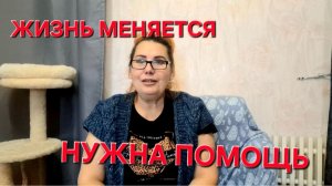 1046 Наша жизнь изменилась. Нужна ваша помощь. Живём в станице на юге.