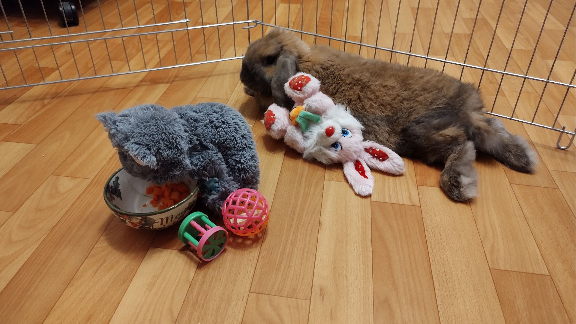 Кормление и питание моего кролика ОСНОВНОЕ. О возрасте кролика. смотреть онлайн