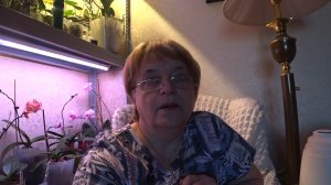 Тихо сам с собою 106