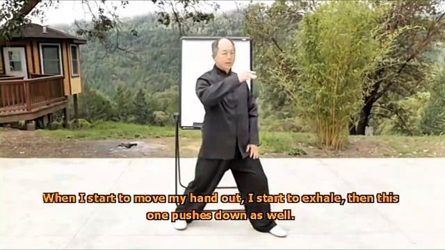 Боевой цигун 24. Дыхание лаогун и юнцюань Ян Цзюньмин смотреть онлайн