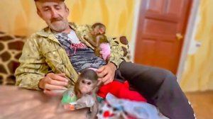 Степе, Мане и Люсе надорили ЦЕЛЫЙ ГАРДЕРОБ красивой одежды)))