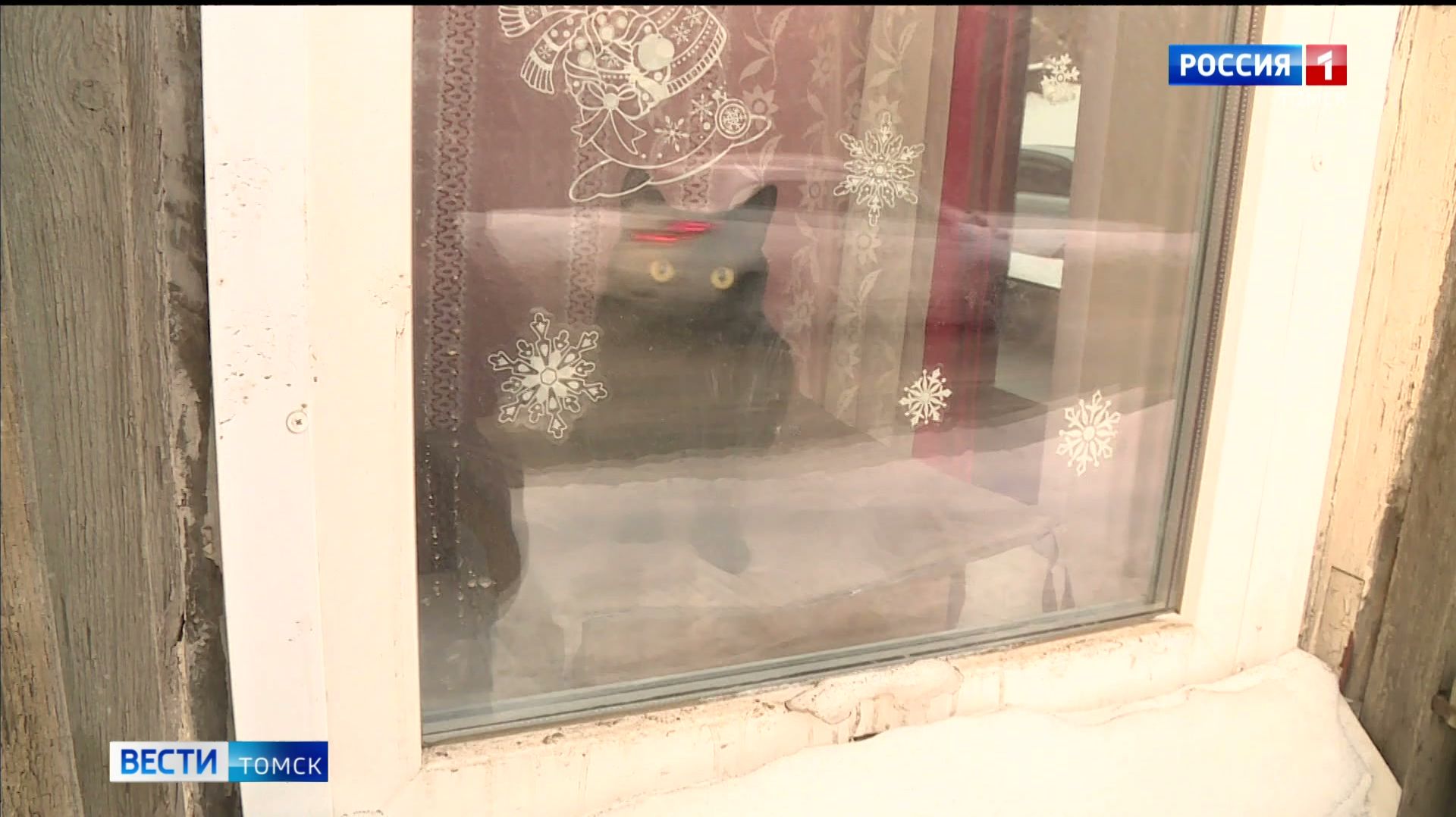 Вести-Томск, выпуск от 09.02.2026 11:30 смотреть онлайн