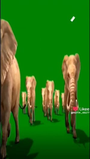 я хов удалить всратые анимации и найти более лучшее занятие чем просто делать что то(читать описание