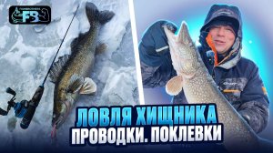 Ловля хищника на Вибы! Новички в деле. Проводки и поклевки!