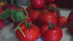 Томаты. Обзор  5 гибридов.