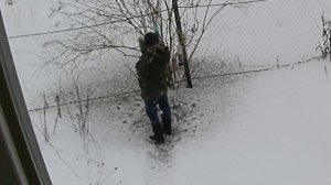 Человек прямоходящий шебуршит кормушки