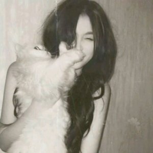 трансляция