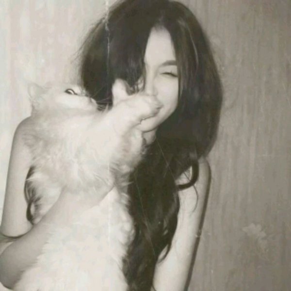 трансляция