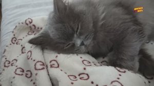 КОРОТКО ОБО ВСЁМ...