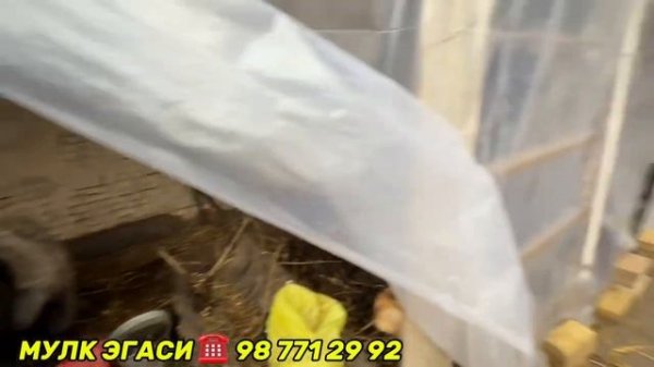 хазараспда турар жой сотилади