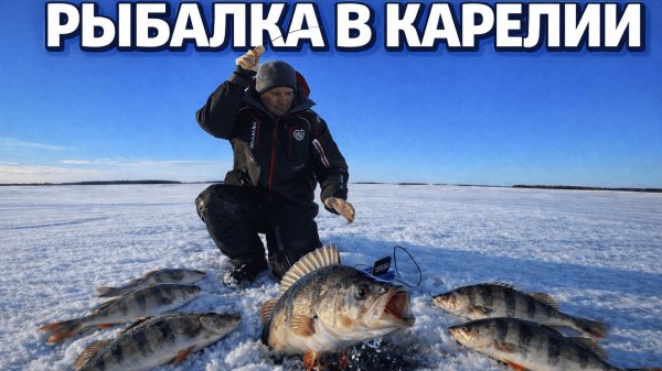 Это спасло мою рыбалку! Как заставить рыбу клевать в глухозимье? Зимняя рыбалка 2026