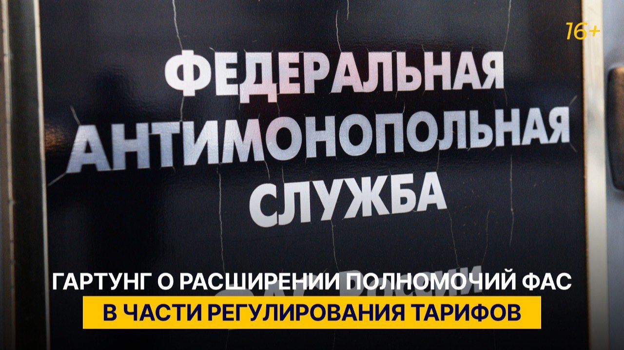 Гартунг о расширении полномочий ФАС в части регулирования тарифов смотреть онлайн