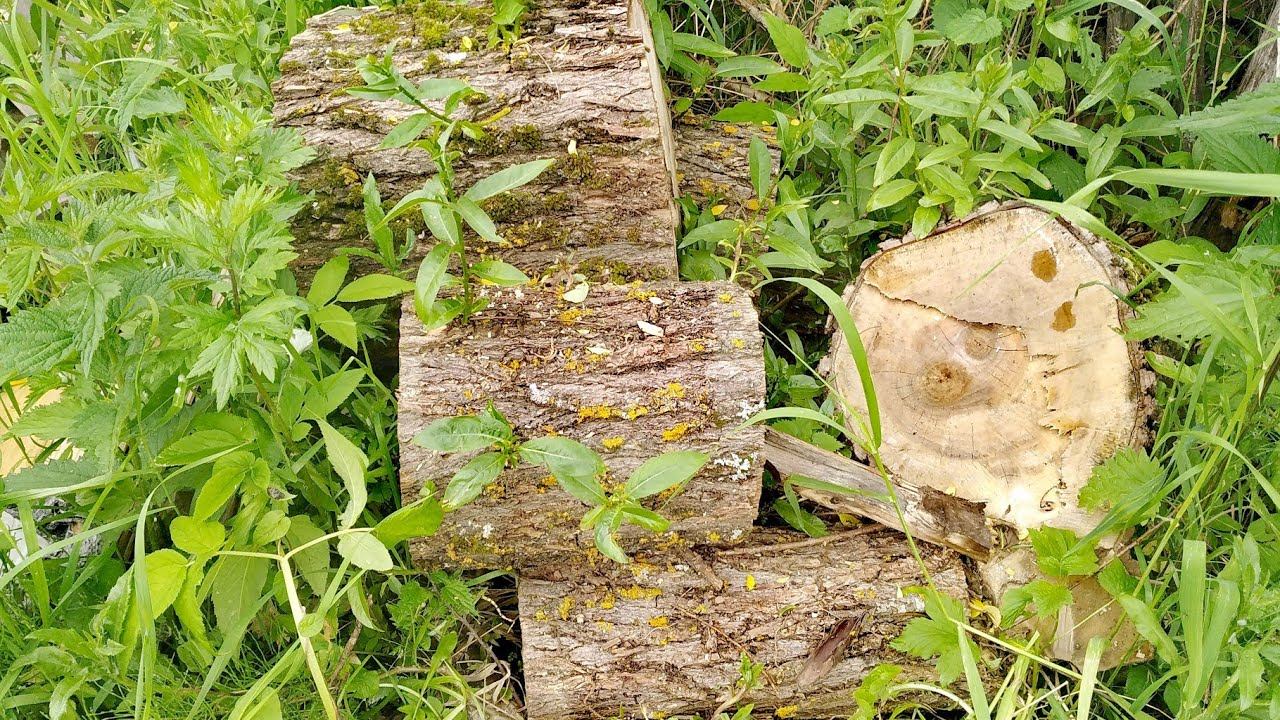 Чудный огород. Укрепляю берег реки. Строю балаганы для клубники, а в это время идёт грозовой фронт. смотреть онлайн