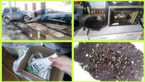 16-2024 Сколько стоит эвакуировать авто в Москве_ Азелит уже не тот... Перестановка __ Elena Pero