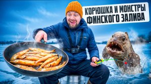Старт сезона корюшки: рыбалка на Финском заливе! Монстры финского залива!