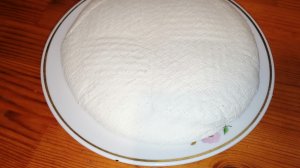 Полезные покупки для кухни / Сыр из кефира / Улитка Ахатина отложила яйца