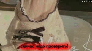 Проверяем баг с 2 Гинами