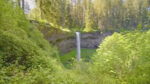 Летняя прогулка по лесу | Природа для медитации, тренировок и отдыха