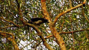 Дачный сезон заканчивается...