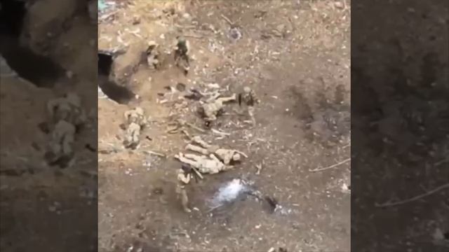 Поиграли в хохлоболл. Видео 23 год. смотреть онлайн