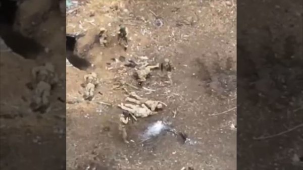 Поиграли в хохлоболл. Видео 23 год.