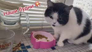 💥НАКОНЕЦ ТО  ПОЛУЧИЛИ❗️/💥ЧТО ПОЕЛИ , ЧТО КУПИЛИ🤗