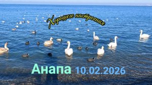 Анапа 10.02.2026