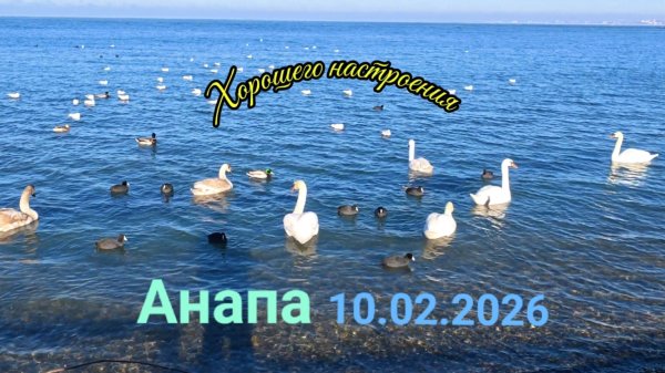 Анапа 10.02.2026