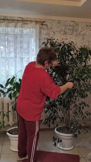 Так и живем