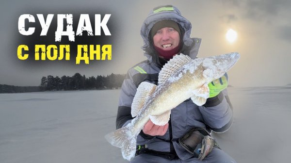 За несколько часов наловил судака и другие моменты