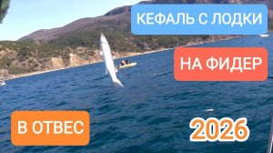 Еле выпустили в море… Но КЕФАЛЬ ЖДАЛА! Рыбалка с лодки в Балаклаве. Кефаль с лодки, в отвес.