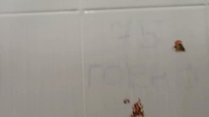 крутые ребята которые это написали